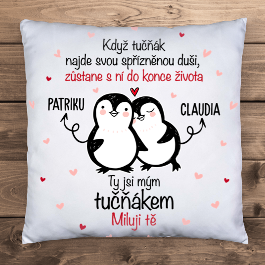 Spriaznená duša - vankúš