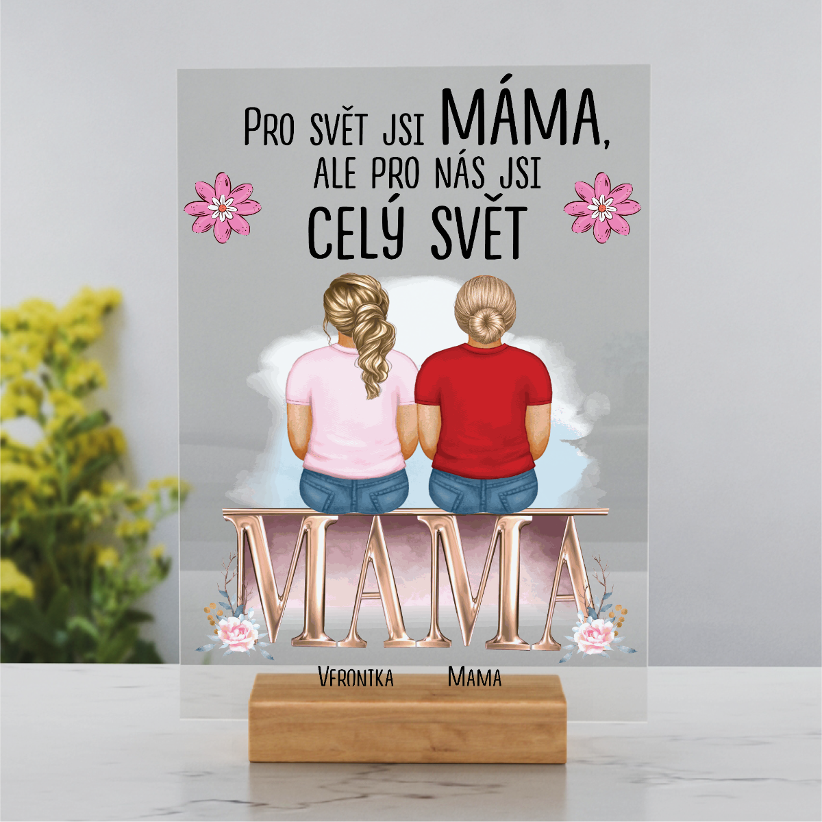 Celý Svet